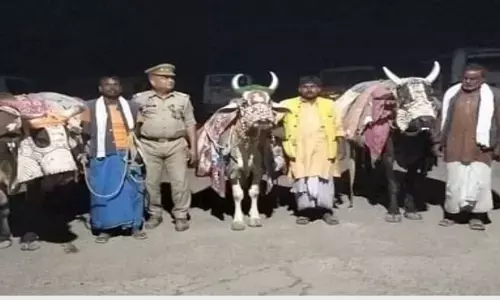 साधु के वेश में भीख मांगते तीन मुस्लिम व्यक्ति गिरफ्तार, पुलिस ने FIR दर्ज कर जेल भेजा साधु के वेश में भीख मांगते तीन मुस्लिम व्यक्ति गिरफ्तार, पुलिस ने FIR दर्ज कर जेल भेजा