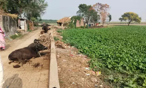 खेत मे घूरा डालकर अबैध कब्जा करने के आरोप में 7 लोगो के खिलाफ दी गयी तहरीर खेत मे घूरा डालकर अबैध कब्जा करने के आरोप में 7 लोगो के खिलाफ दी गयी तहरीर