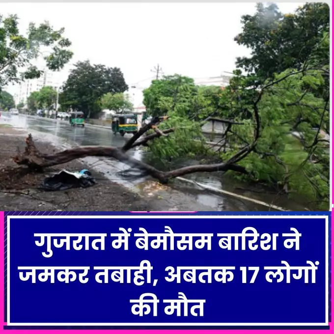 गुजरात मे बेमौसम बारिश से अब तक 17 लोगों की मौत, मकान गिरे, जानवरों की मौत