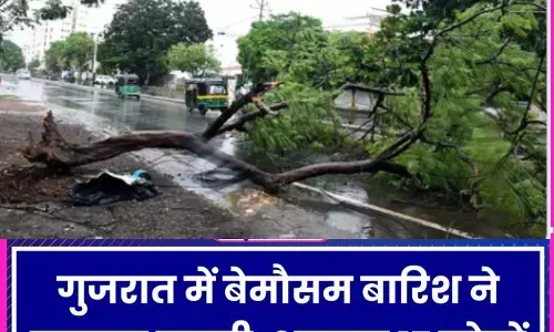 गुजरात मे बेमौसम बारिश से अब तक 17 लोगों की मौत, मकान गिरे, जानवरों की मौत गुजरात मे बेमौसम बारिश से अब तक 17 लोगों की मौत, मकान गिरे, जानवरों की मौत