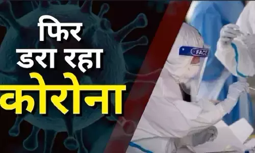 COVID-19 Update: कोरोना ने फिर पकड़ी रफ्तार, केरल में एक दिन में आए 292 नए केस, तीन की मौत COVID-19 Update: कोरोना ने फिर पकड़ी रफ्तार, केरल में एक दिन में आए 292 नए केस, तीन की मौत