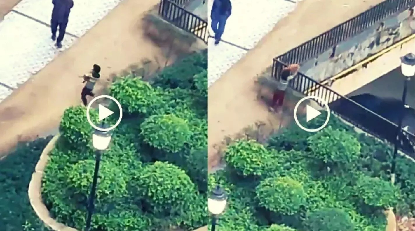 Noida Latest News: नोएडा की सोसायटी में बच्चे ने Puppy को बेसमेंट में फेंका, बेजुबान की दर्दनाक मौत Noida Latest News: नोएडा की सोसायटी में बच्चे ने Puppy को बेसमेंट में फेंका, बेजुबान की दर्दनाक मौत