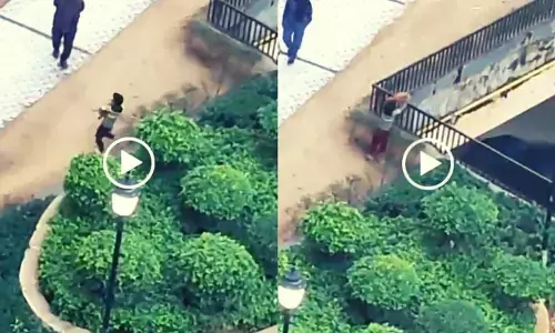 Noida Latest News: рдиреЛрдПрдбрд╛ рдХреА рд╕реЛрд╕рд╛рдпрдЯреА рдореЗрдВ рдмрдЪреНрдЪреЗ рдиреЗ Puppy рдХреЛ рдмреЗрд╕рдореЗрдВрдЯ рдореЗрдВ рдлреЗрдВрдХрд╛, рдмреЗрдЬреБрдмрд╛рди рдХреА рджрд░реНрджрдирд╛рдХ рдореМрдд Noida Latest News: рдиреЛрдПрдбрд╛ рдХреА рд╕реЛрд╕рд╛рдпрдЯреА рдореЗрдВ рдмрдЪреНрдЪреЗ рдиреЗ Puppy рдХреЛ рдмреЗрд╕рдореЗрдВрдЯ рдореЗрдВ рдлреЗрдВрдХрд╛, рдмреЗрдЬреБрдмрд╛рди рдХреА рджрд░реНрджрдирд╛рдХ рдореМрдд