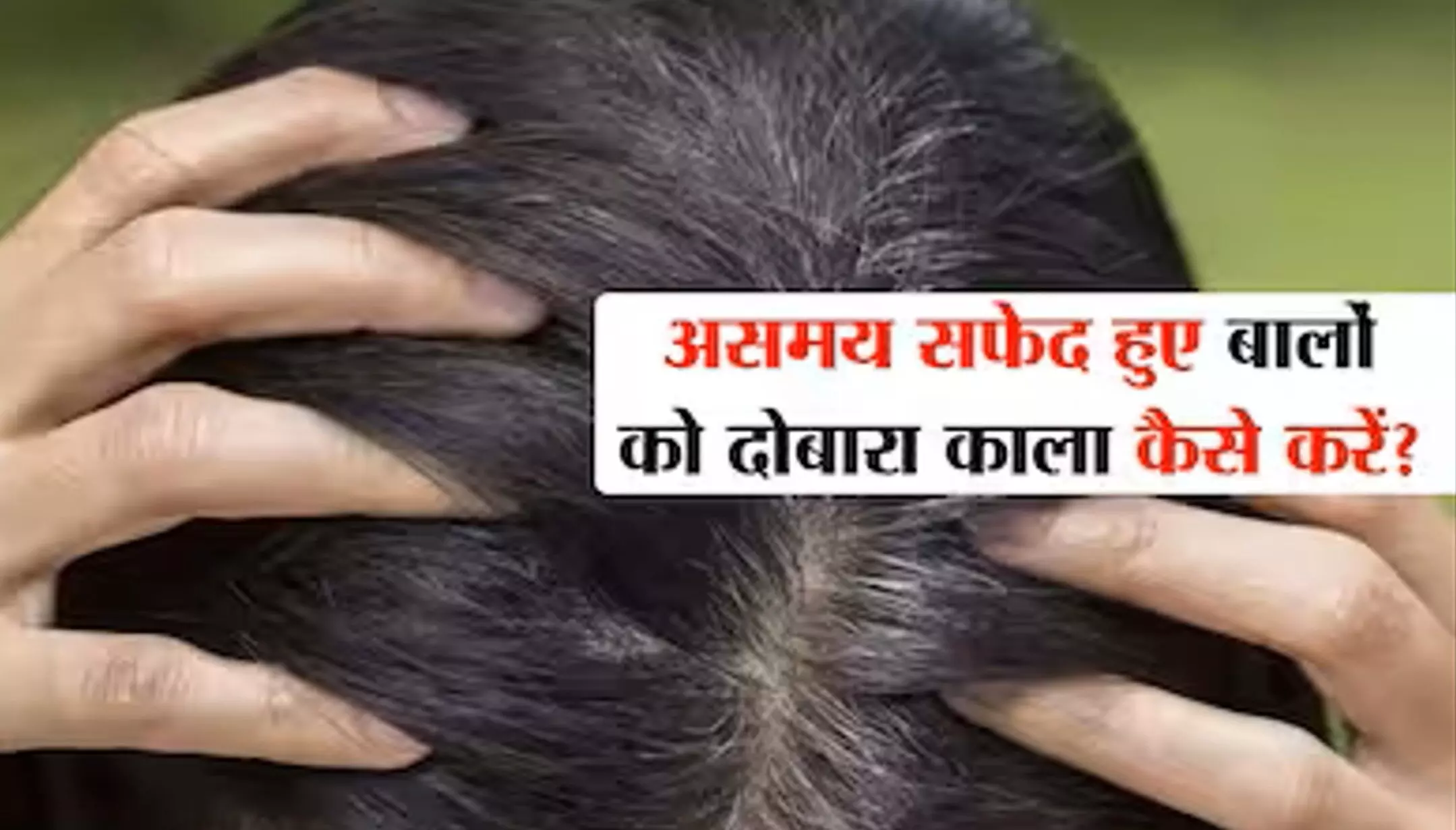 Grey hair : सफेद हो रहे बालों को लेकर परेशान होने की जरूरत नहीं है, आसान घरेलू नुस्खों से मिनटों में हो जाएंगे काले