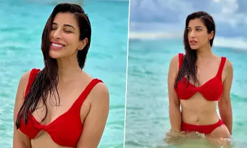 Sophie Choudry Sexy Videos: Sophie Choudry ने SEXY बिकनी पहन लगाई आग, हॉटनेस ने बढ़ाया तापमान Sophie Choudry Sexy Videos: Sophie Choudry ने SEXY बिकनी पहन लगाई आग, हॉटनेस ने बढ़ाया तापमान