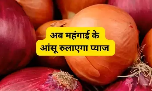 Onion Price Hike: लहसुन के बाद अब प्याज भी रुलाने को तैयार, जानिए क्यों बढ़ेंगे दाम Onion Price Hike: लहसुन के बाद अब प्याज भी रुलाने को तैयार, जानिए क्यों बढ़ेंगे दाम