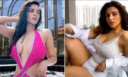 Shama Sikander Sexy Videos: Shama Sikander ने शेयर की सेक्सी तस्वीर, यूजर्स हुए मदहोश