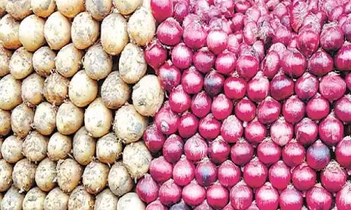 Onion Price Hike: होली से पहले ही आलू-प्याज ने बदला रंग, फीका पड़ सकता है खाने का स्वाद Onion Price Hike: होली से पहले ही आलू-प्याज ने बदला रंग, फीका पड़ सकता है खाने का स्वाद