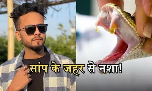 Snake Venom: क्या है सांप के जहर का नशा? क्या यह हमेशा मौत देता है या नई जिंदगी भी दे सकता है? पढ़ें Snake Venom: क्या है सांप के जहर का नशा? क्या यह हमेशा मौत देता है या नई जिंदगी भी दे सकता है? पढ़ें
