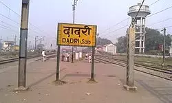 Noida News : दादरी के कुड़ीखेड़ा गांव में 60 से ज्यादा मवेशियों की मौत,दहशत में ग्रामीण Noida News : दादरी के कुड़ीखेड़ा गांव में 60 से ज्यादा मवेशियों की मौत,दहशत में ग्रामीण