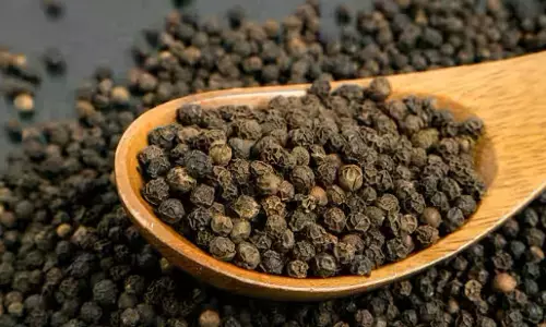 Benefits Of Black Pepper: काली मिर्च के 7 चमत्कारी फायदे, फायदे जान आप भी रह जाएंगे दंग