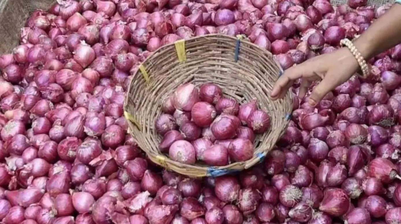 Central government gave good news to the farmers, lifted the ban on onion,  know what will be the benefit | Onion Exports Ban: केंद्र सरकार ने दी  किसानों को खुशखबरी, हटाया प्याज