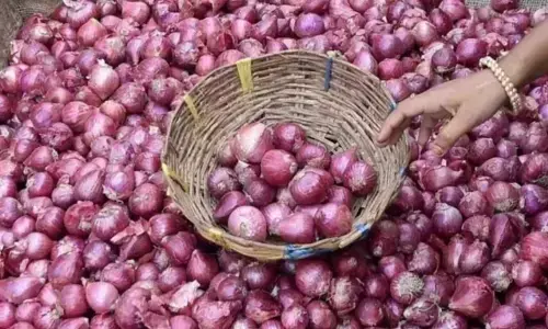 Onion Exports Ban: केंद्र सरकार ने दी किसानों को खुशखबरी, हटाया प्याज पर लगा प्रतिबंध, जानें क्या होगा फायदा