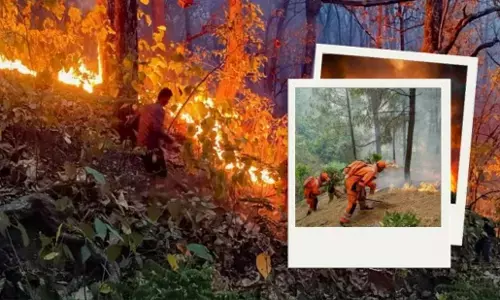 Uttarakhand Forest Fire: उत्तराखंड में धधक रहा जंगल, बेकाबू आग ने ली 5 की जान, अब तक 1 हजार हेक्टेयर से अधिक जंगल राख Uttarakhand Forest Fire: उत्तराखंड में धधक रहा जंगल, बेकाबू आग ने ली 5 की जान, अब तक 1 हजार हेक्टेयर से अधिक जंगल राख