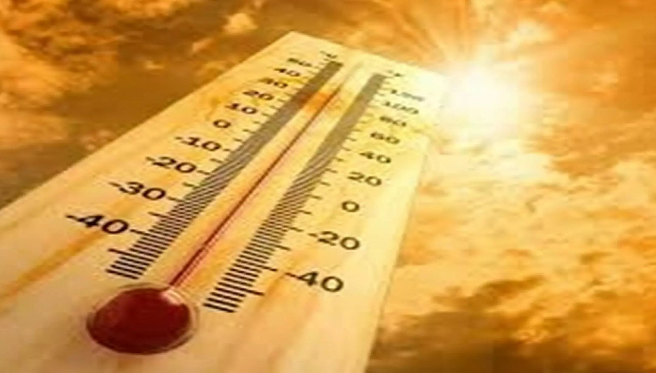 Haryana Heat Wave: हरियाणा में गर्मी ने दिखाए अपने तेवर, अस्पतालों में लगी लंबी कतारें; सड़कों पर पसरा सन्नाटा