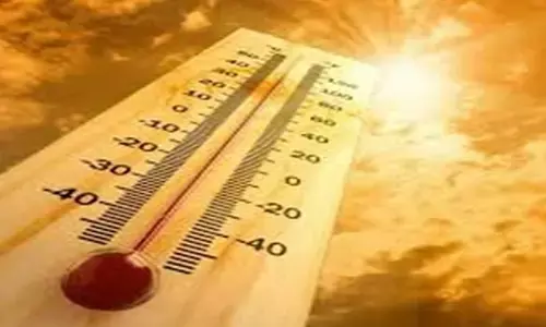 Haryana Heat Wave: हरियाणा में गर्मी ने दिखाए अपने तेवर, अस्पतालों में लगी लंबी कतारें; सड़कों पर पसरा सन्नाटा