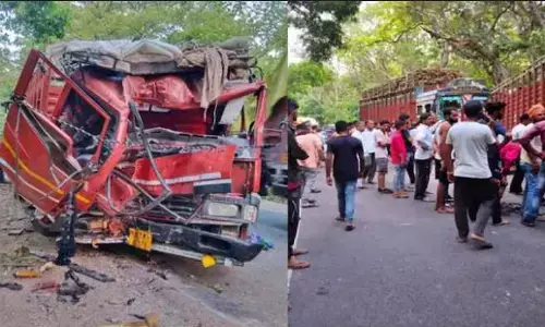 UP Road Accident: DCM की पेड़ से हुई टक्कर, 3 लोगों की मौत 30 से ज्यादा घायल