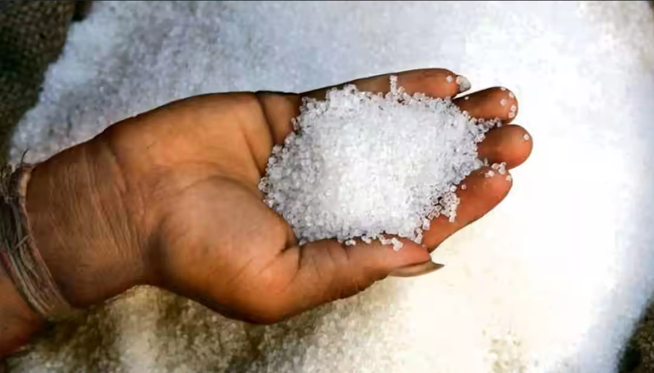 Sugar Price: फीकी पड़ सकती है रसोई में चीनी की मिठास, इतनी बढ़ सकती है कीमत, जानें क्यों? Sugar Price: फीकी पड़ सकती है रसोई में चीनी की मिठास, इतनी बढ़ सकती है कीमत, जानें क्यों?