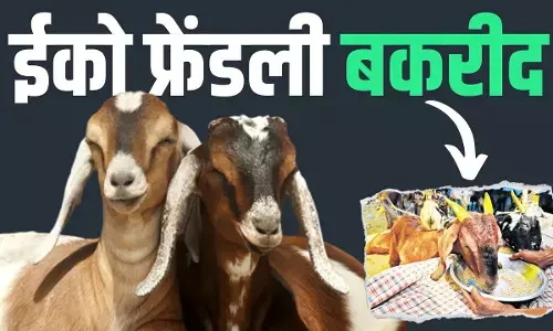 बकरीद पर एको फ्रेंडली का ज्ञान और गाय के नाम पर मुसलमानों की हत्या?