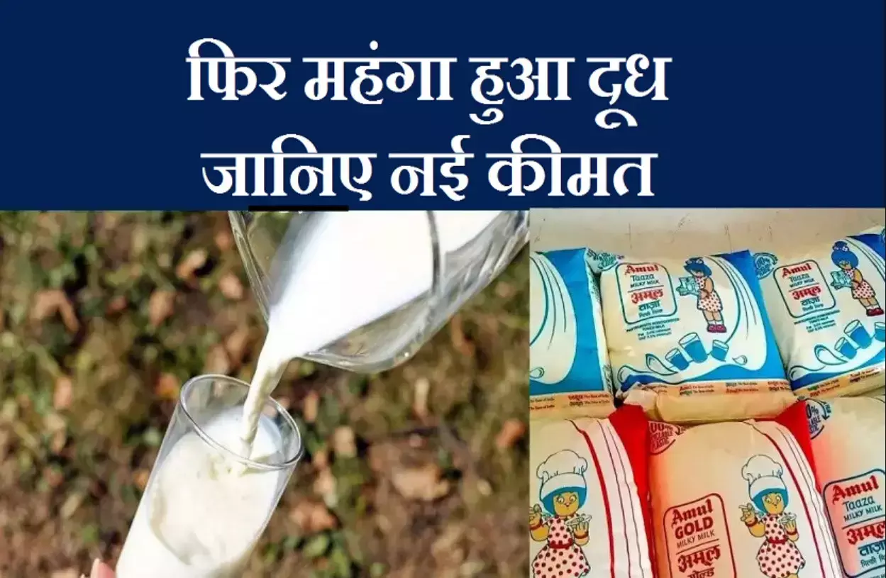 Milk Price Increase: इस राज्य में फिर बढ़ गए दूध के दाम, दो रुपये का हुआ इजाफा, कल से लागू होंगी कीमतें Milk Price Increase: इस राज्य में फिर बढ़ गए दूध के दाम, दो रुपये का हुआ इजाफा, कल से लागू होंगी कीमतें