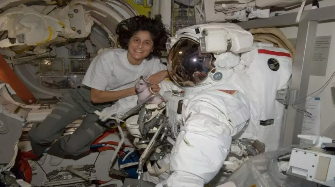 NASA Space Mission : अंतरिक्ष यात्री सुनीता विलियम्स ने स्पेस से भेजा मैसेज, लोगों ने ली राहत की सांस NASA Space Mission : अंतरिक्ष यात्री सुनीता विलियम्स ने स्पेस से भेजा मैसेज, लोगों ने ली राहत की सांस
