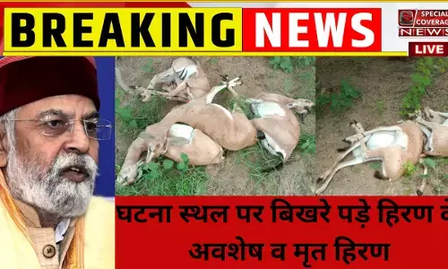 हिरणों का कब्रिस्तान बन गया है बाड़मेर--ज्ञानेन्द्र रावत हिरणों का कब्रिस्तान बन गया है बाड़मेर--ज्ञानेन्द्र रावत