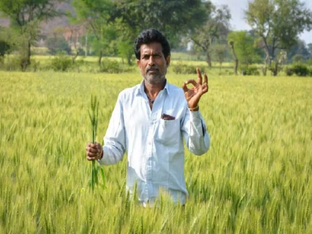 PM Asha Yojana: सरकार ने चंद मिनटों में ही कर दिया करोड़ों लोगों की समस्या का समाधान, 35,000 करोड़ रुपये की मिली मंजूरी PM Asha Yojana: सरकार ने चंद मिनटों में ही कर दिया करोड़ों लोगों की समस्या का समाधान, 35,000 करोड़ रुपये की मिली मंजूरी