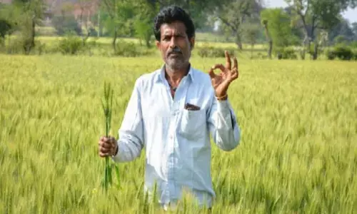 PM Asha Yojana: सरकार ने चंद मिनटों में ही कर दिया करोड़ों लोगों की समस्या का समाधान, 35,000 करोड़ रुपये की मिली मंजूरी PM Asha Yojana: सरकार ने चंद मिनटों में ही कर दिया करोड़ों लोगों की समस्या का समाधान, 35,000 करोड़ रुपये की मिली मंजूरी