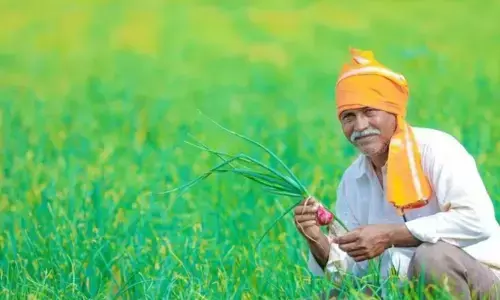 PM Kisan yojna: सिर्फ पांच दिन बाद किसानों के खाते में ट्रांसफर होगी 18वीं किस्त, इतने किसानों को मिलेगा लाभ