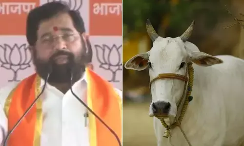 Cow Announced Rajyamata: महाराष्ट्र की शिंदे सरकार का बड़ा फैसला, गाय को दिया राज्यमाता का दर्जा; पढें पूरा आदेश