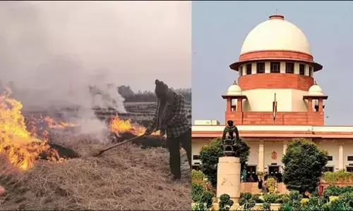 Air Pollution: पंजाब-हरियाणा सरकार को सुप्रीम कोर्ट ने लगाई फटकार, पराली जलाने के मामले में सख्त