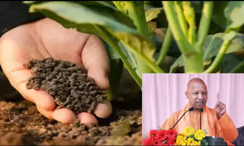 UP News: यूपी में योगी सरकार दे रही प्राकृतिक खेती को बढ़ावा, ताकि प्रदूषण मुक्त हो सके गंगा UP News: यूपी में योगी सरकार दे रही प्राकृतिक खेती को बढ़ावा, ताकि प्रदूषण मुक्त हो सके गंगा