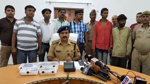 जालौन एसपी ने किया कई चोरियां का खुलासा जालौन एसपी ने किया कई चोरियां का खुलासा