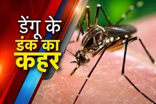 तीन महीने में चिकनगुनिया के 79 और डेंगू के 24 मामले