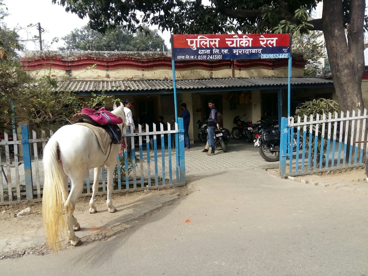 दिल्ली लखनऊ हाईवे पर हादसे के बाद पुलिस चौकी पहुंचा घोड़ा