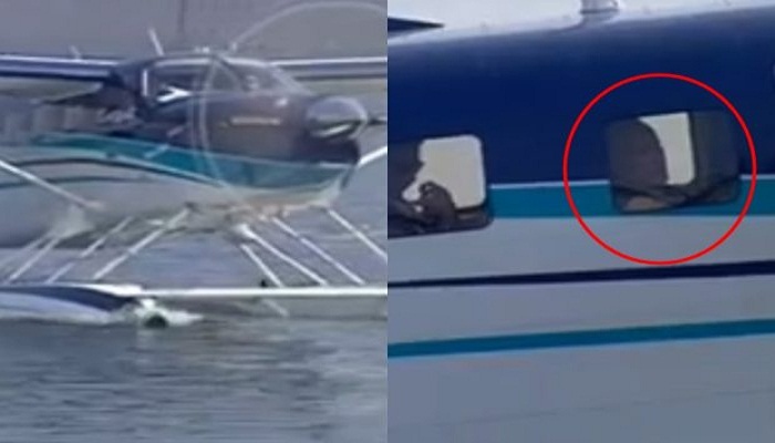 सी-प्लेन में सवार होकर साबरमती से धरोई डैम पहुंचे पीएम मोदी, जाएंगे अंबाजी मंदिर