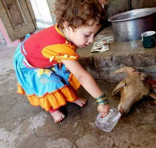 बूढ़े माँ बाप का एक टूटा हुआ चश्मा नहीं बनवा पाए, दस हजार का बकरा ले आए, क्या यह कुर्बानी अल्लाह को पसंद होगी