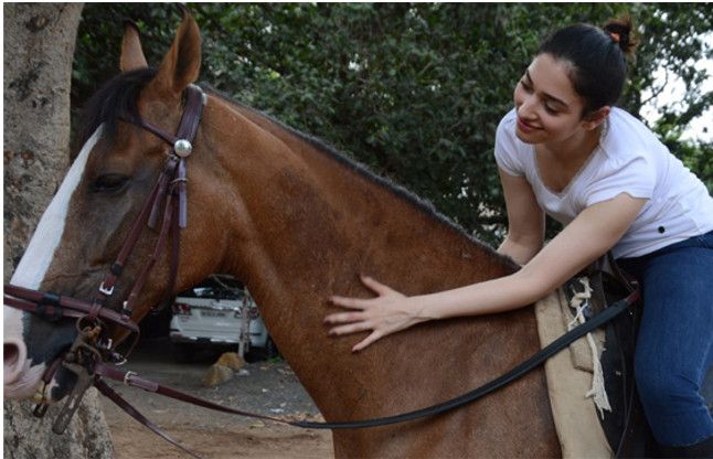 घोड़ी पर चढ़ने से कतरा रहे हैं दूल्हे जब पता चली ये बात, मचा हडकम्प