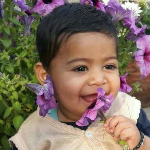 इस 11 माह के इस बच्चे को बारात से दो लोगो ने अगवा कर लिया है, शेयर करें लोगों तक खबर पहुंचाएं इस 11 माह के इस बच्चे को बारात से दो लोगो ने अगवा कर लिया है, शेयर करें लोगों तक खबर पहुंचाएं