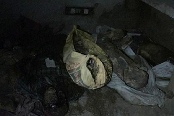 भाखड़ा नहर की सफाई के दौरान मिले दर्जनों लाशें, पुलिस जाँच में जुटी