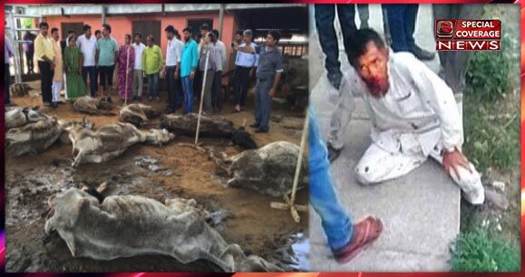 पहलू खान की मौत का कोई पछतावा नहीं, गौ हत्यार्रों का होगा यही हश्र - बीजेपी विधायक अलवर पहलू खान की मौत का कोई पछतावा नहीं, गौ हत्यार्रों का होगा यही हश्र - बीजेपी विधायक अलवर