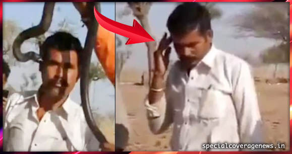 VIDEO : इस शख्स को कोबरे के साथ सेल्फी पड़ी महंगी, मिली मौत