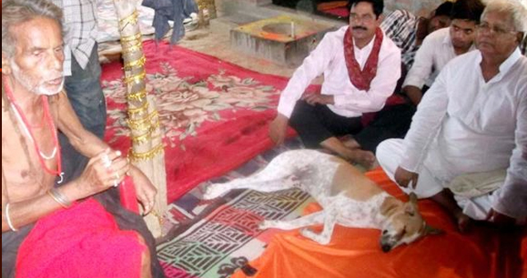 पगला बाबा ने दिया था श्राप, लालू तुझे घमंड है...तू मिट्टी में मिल जाएगा! पगला बाबा ने दिया था श्राप, लालू तुझे घमंड है...तू मिट्टी में मिल जाएगा!