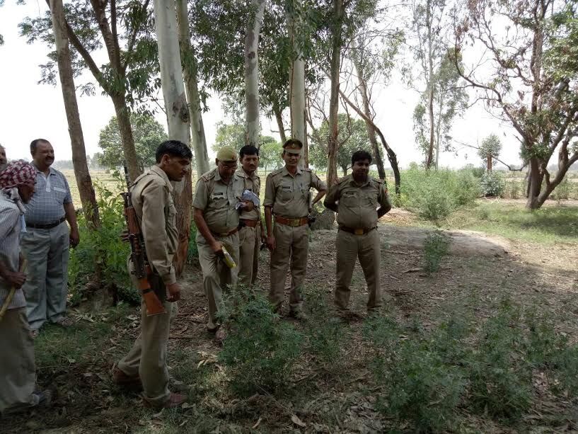 योगी राज में ज़मीन हुई कब्ज़ा मुक्त, सत्य की हुई जीत, मिला न्याय