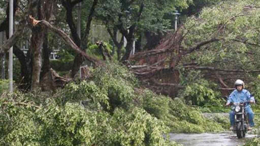 बिहार के कई जिलों में तेज बारिश और आंधी,  15 लोगों की मौत