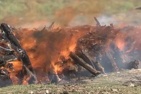 झारखंड: लावारिस 33 लाशों का सामूहिक अंतिम संस्कार झारखंड: लावारिस 33 लाशों का सामूहिक अंतिम संस्कार