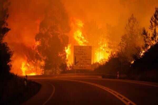 पुर्तगाल: जंगल में लगी आग से 43 की मौत, 59 झुलसे