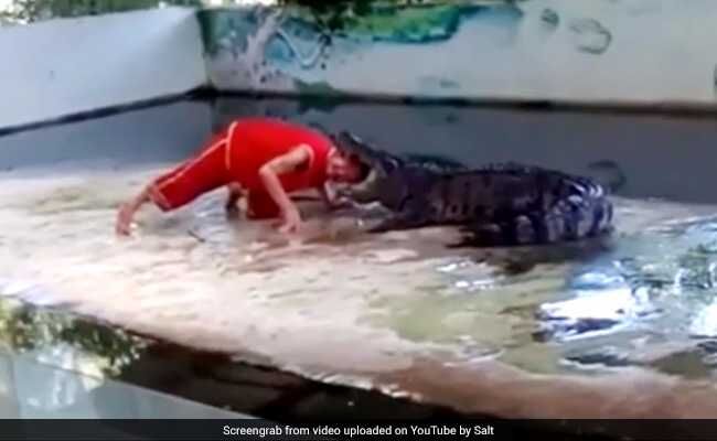 इस वीडियो को देखकर भाग खड़े होंगे आप, कमजोर दिल के लोग ना देखें