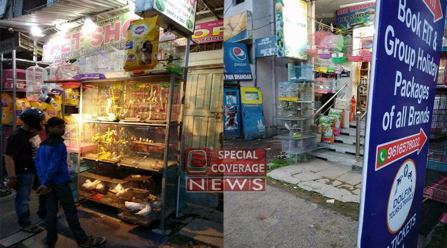 बनारस में बेखौफ हैं बेजुबानो के सौदागर