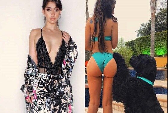 बेलगाम, बेजुबान आतंकियों से बचाओ !